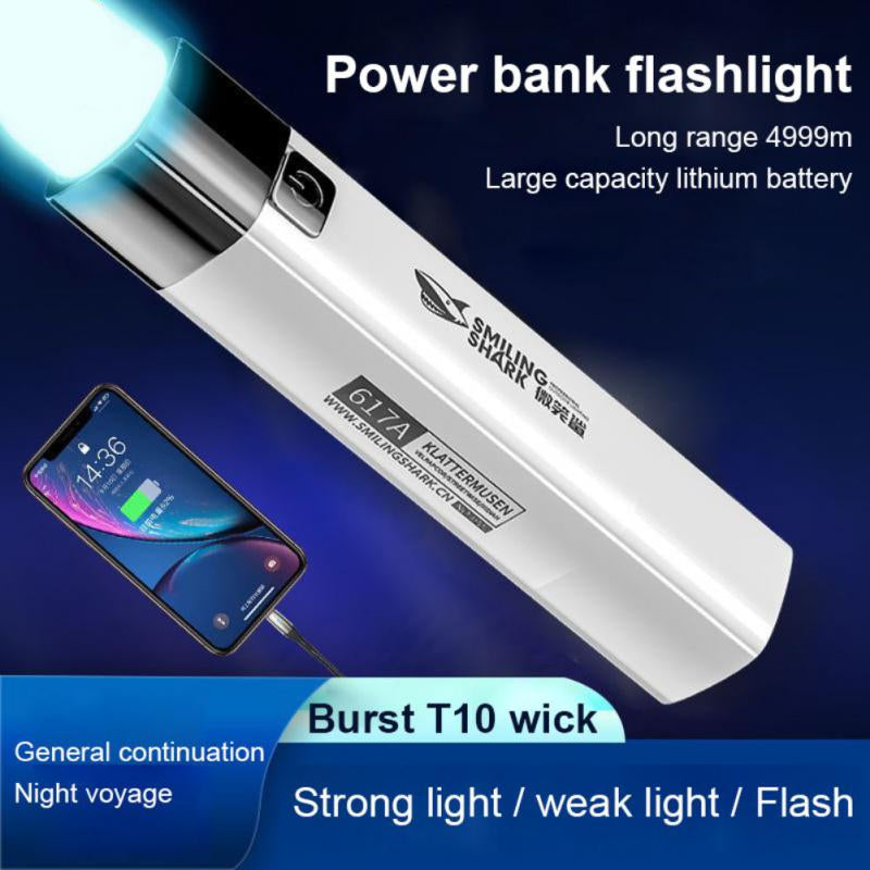 Mini Torch Power Bank