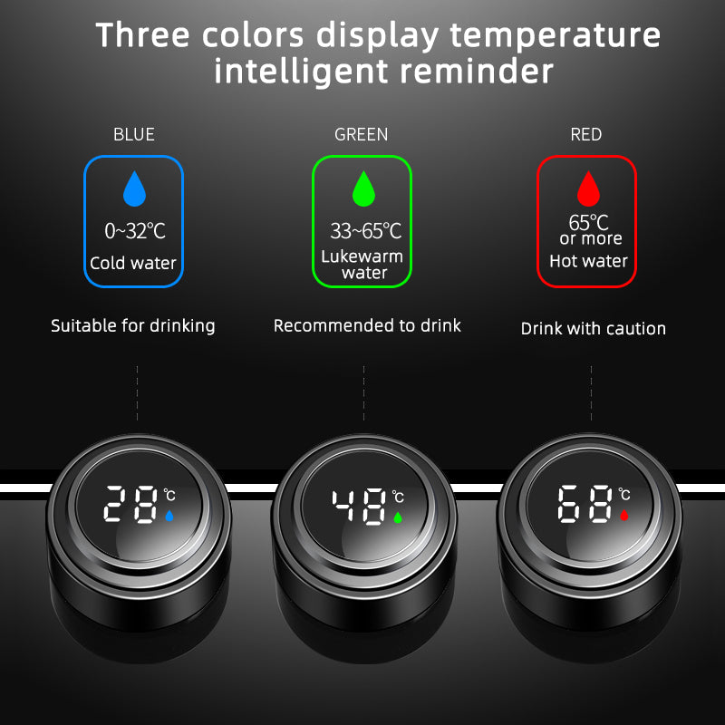 Water Bottle With Digital LED Temperature Display