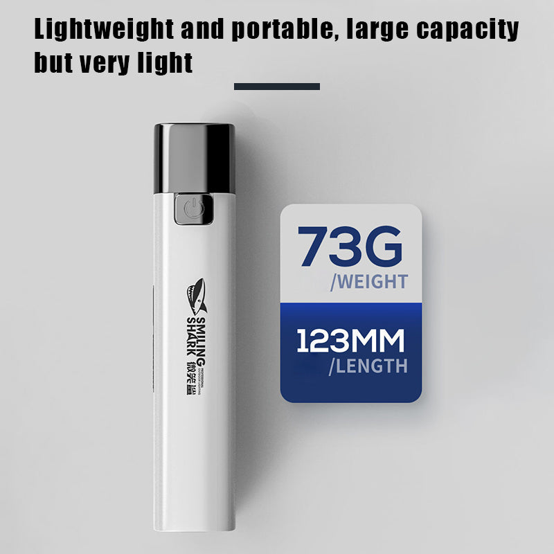 Mini Torch Power Bank